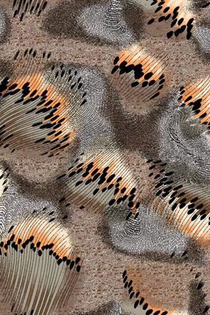 休闲印花华亿平台图片