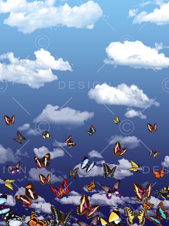 白云印花华亿平台图片