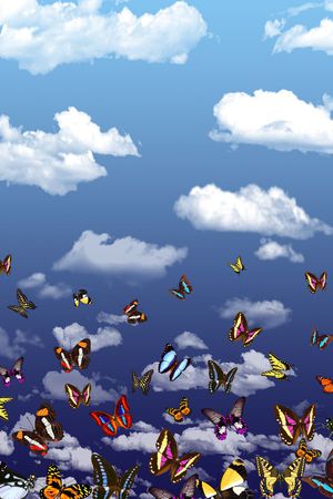 白云印花华亿平台图片