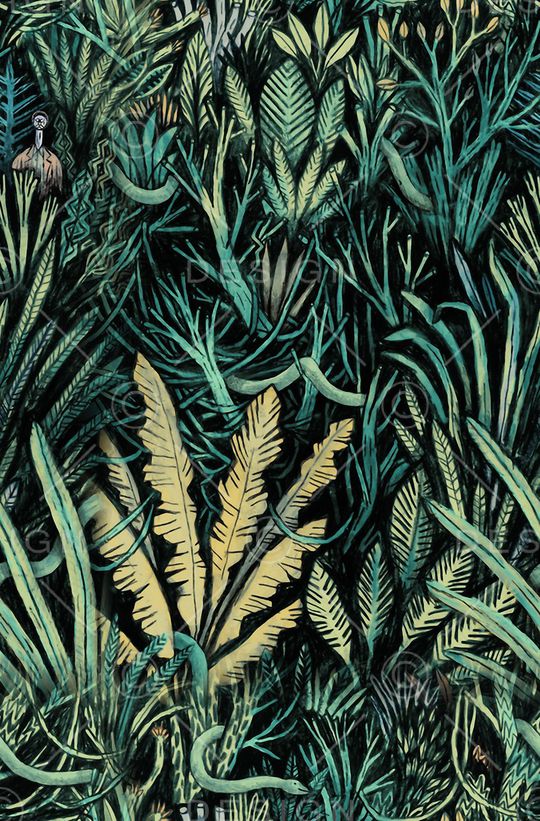 热带印花华亿平台图片