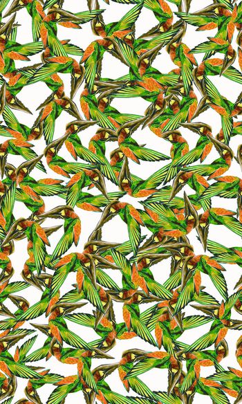 小鸟印花华亿平台图片