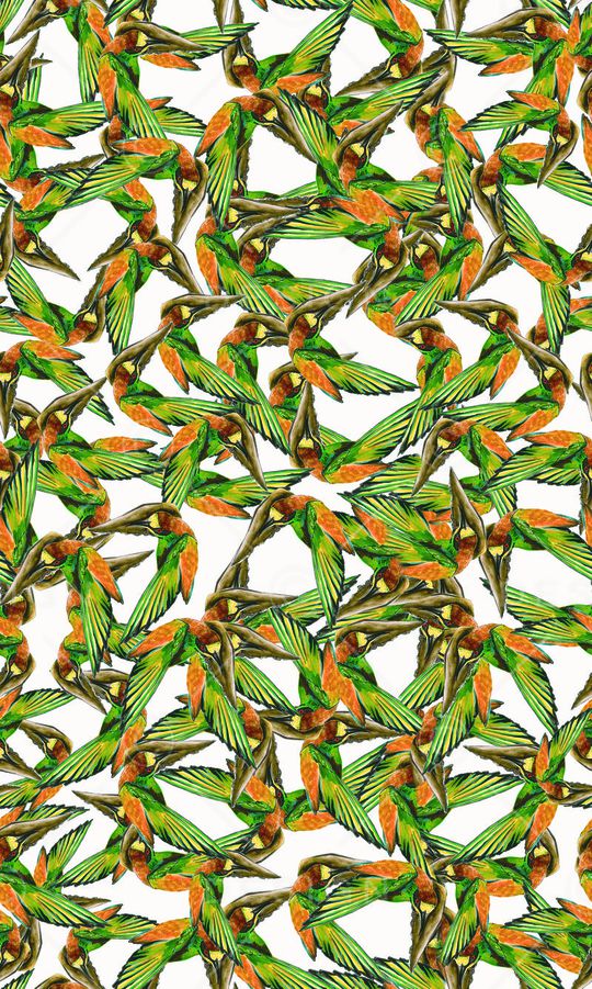 小鸟印花华亿平台图片