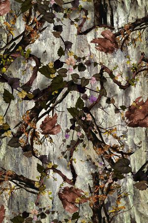 树枝印花华亿平台图片