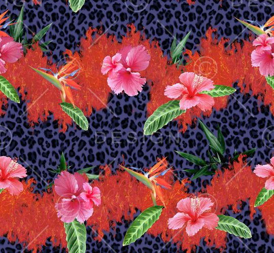 豹纹印花华亿平台图片