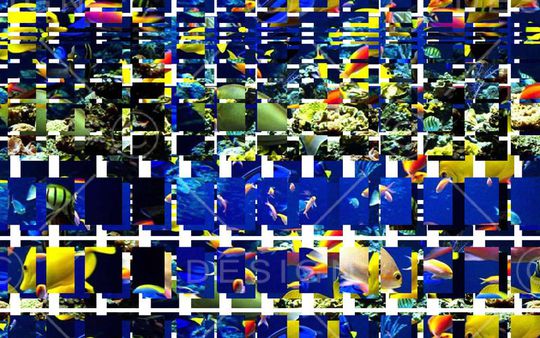 潮流印花华亿平台图片