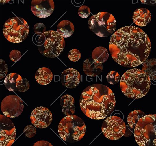 波点印花华亿平台图片