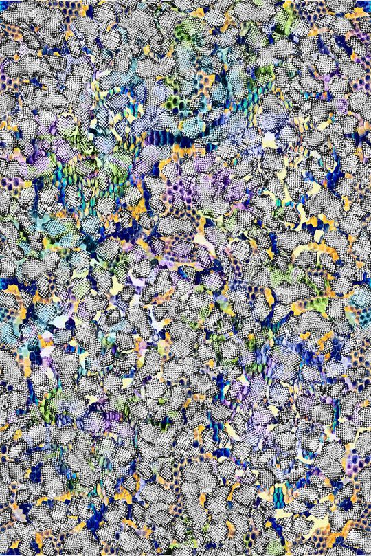 动物纹印花华亿平台图片