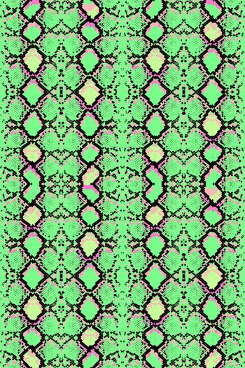 383221-活剥的蟒纹