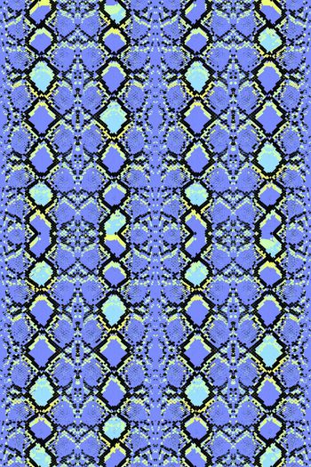 383223-活剥的蟒纹