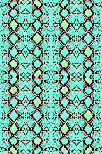 383224-活剥的蟒纹