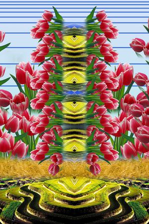 郁金香印花华亿平台图片