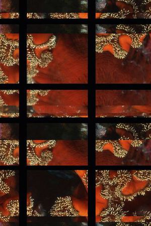 复古印花华亿平台图片