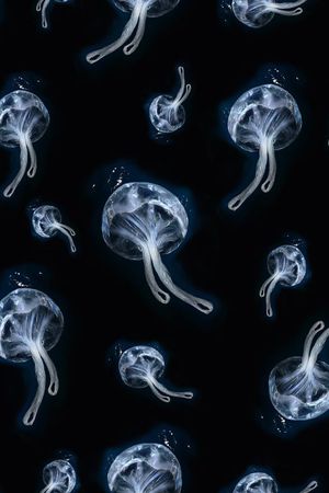 潮流印花华亿平台图片