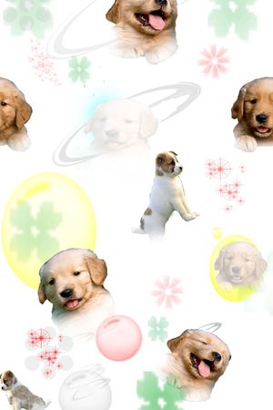 零点--童装印花华亿平台图片