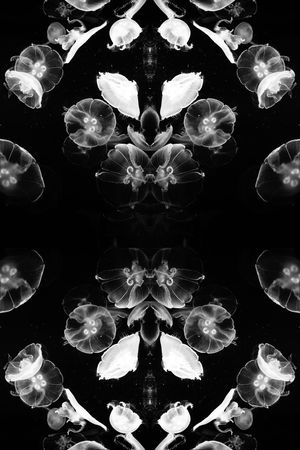 潮流印花华亿平台图片