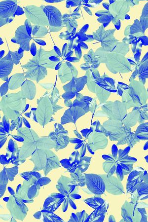 休闲印花华亿平台图片