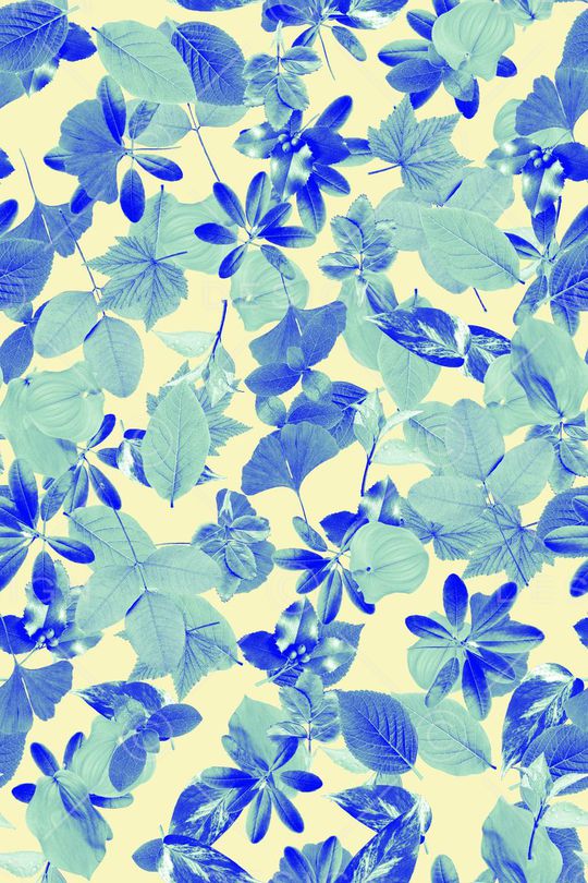 休闲印花华亿平台图片