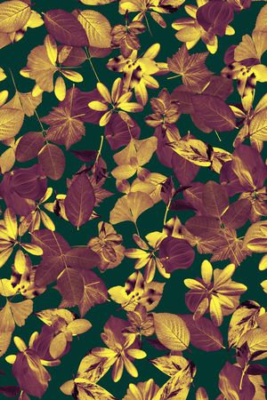 休闲印花华亿平台图片