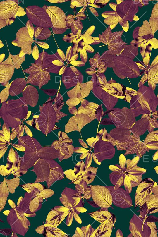 休闲印花华亿平台图片