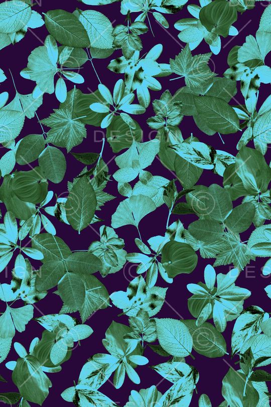 休闲印花华亿平台图片