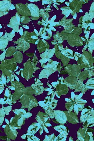 休闲印花华亿平台图片