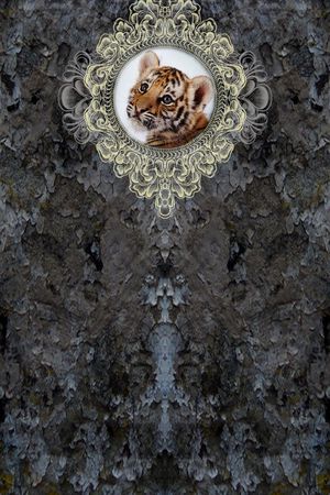 休闲印花华亿平台图片