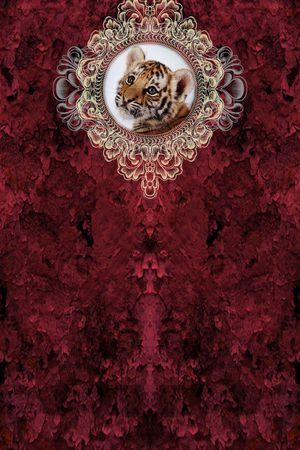 休闲印花华亿平台图片