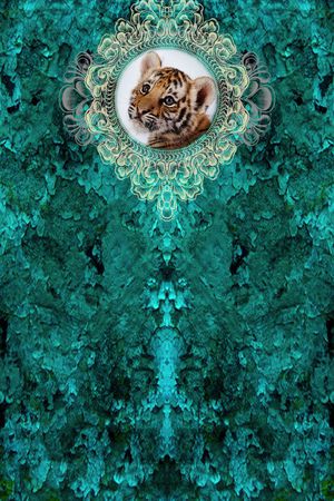 休闲印花华亿平台图片