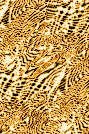 虎纹印花华亿平台图片