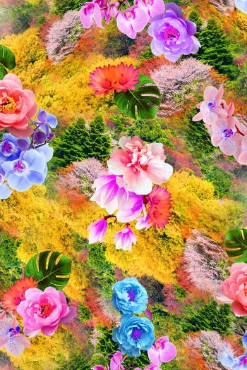 383914-秋意森林飘香花卉