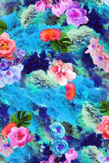 383916-秋意森林飘香花卉