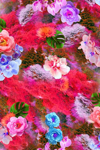 383917-秋意森林飘香花卉