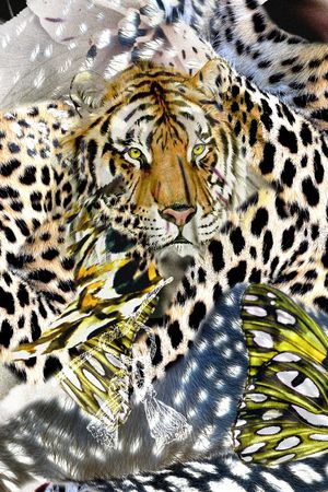 动物印花华亿平台图片