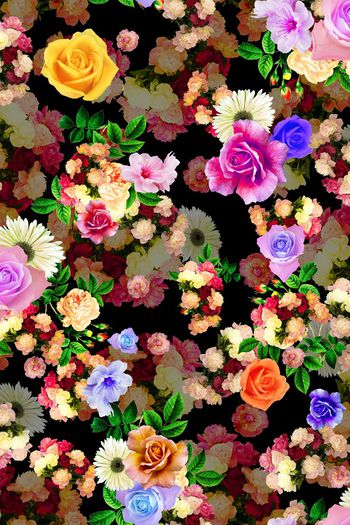 384140-变相混色花海