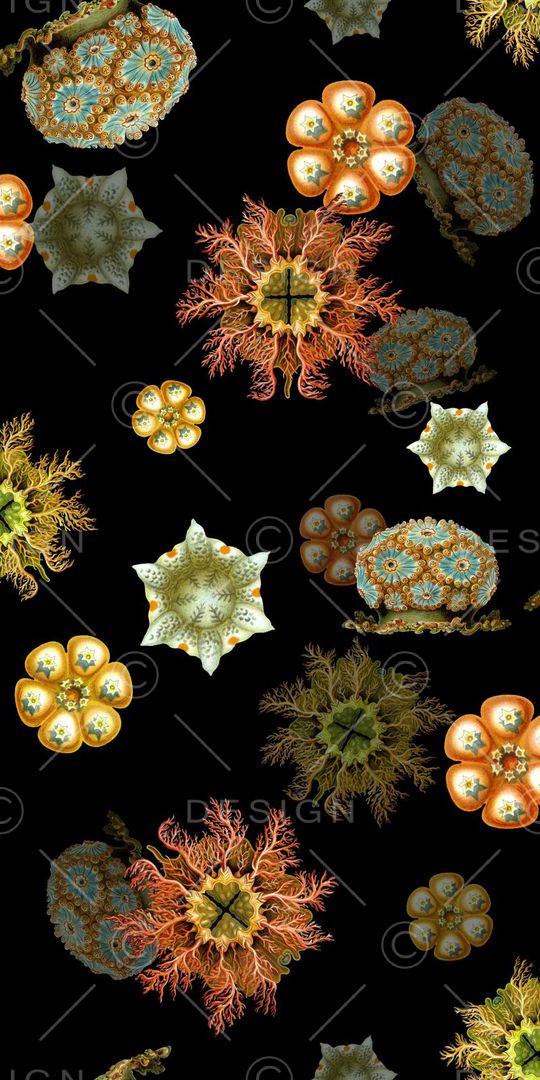 绚丽大气印花华亿平台图片