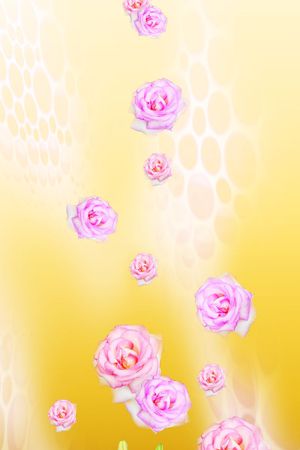 田园印花华亿平台图片