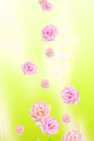 田园印花华亿平台图片