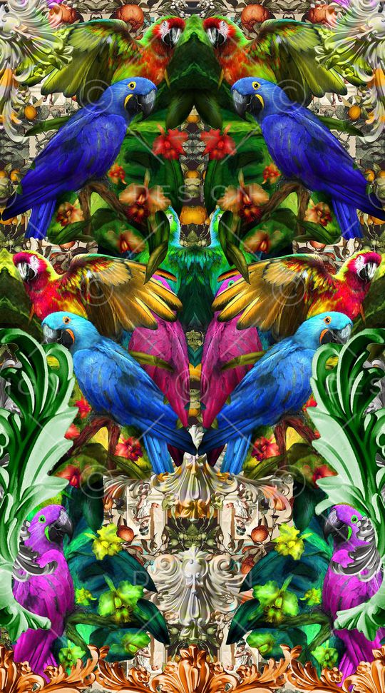 动物定位印花华亿平台图片