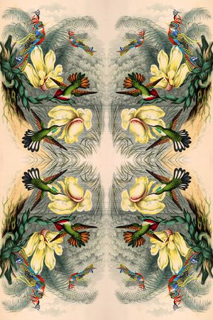 花鸟印花华亿平台图片