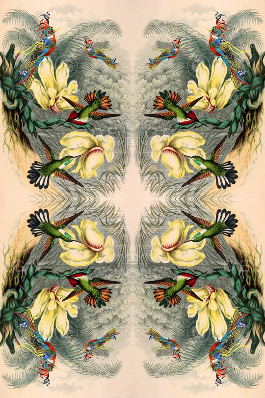 花鸟印花华亿平台图片