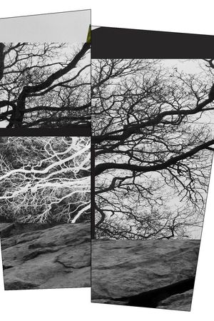 休闲印花华亿平台图片