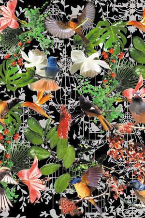 潮流印花华亿平台图片