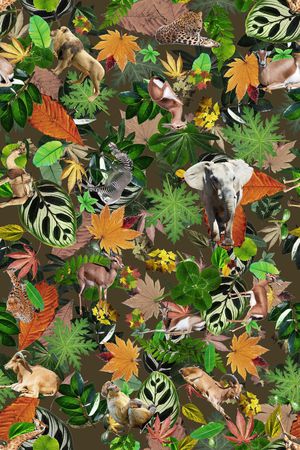 度假风印花华亿平台图片