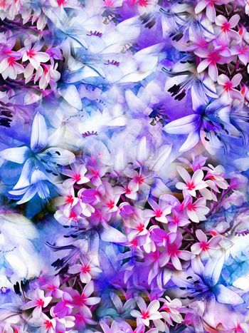 384472-烂漫紫罗兰