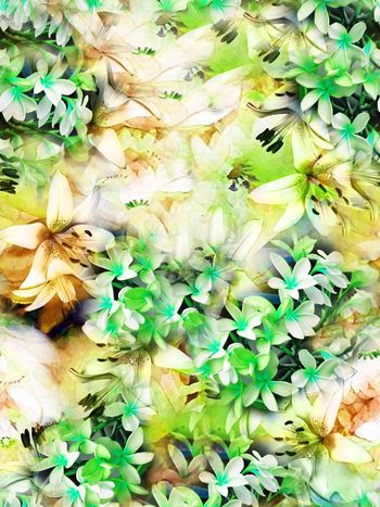 384473-烂漫紫罗兰