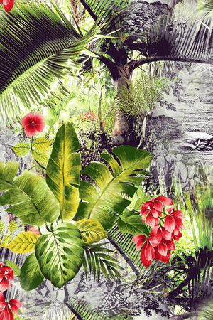 热带印花华亿平台图片