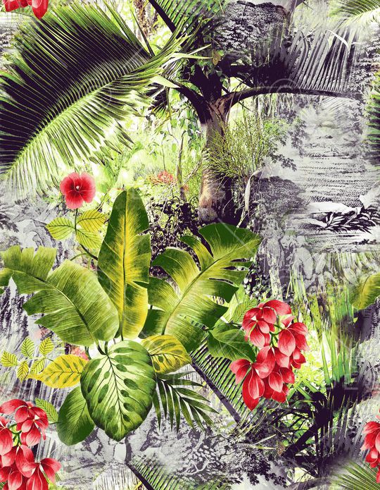 热带印花华亿平台图片