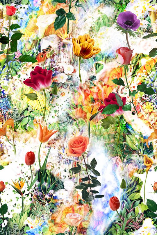 数码 花 女装印花华亿平台图片