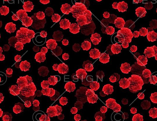 潮流印花华亿平台图片