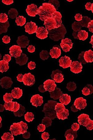 潮流印花华亿平台图片